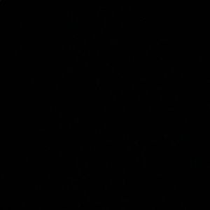 Meet your Posher, Jake